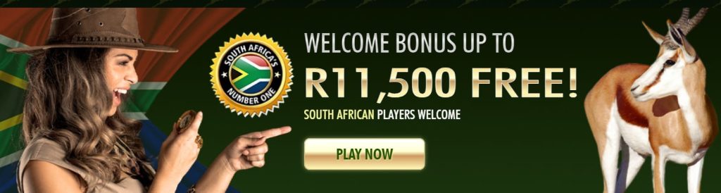 springbok casino south africa: is casino legal in south africa